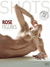 Rose Figures cover